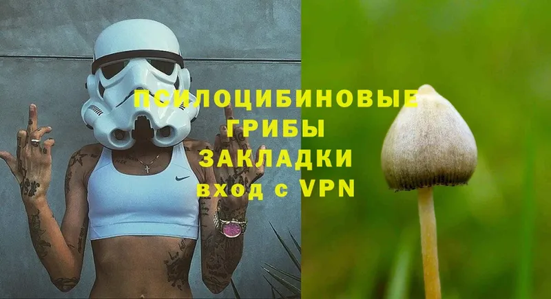 Псилоцибиновые грибы Cubensis  гидра   Звенигород 